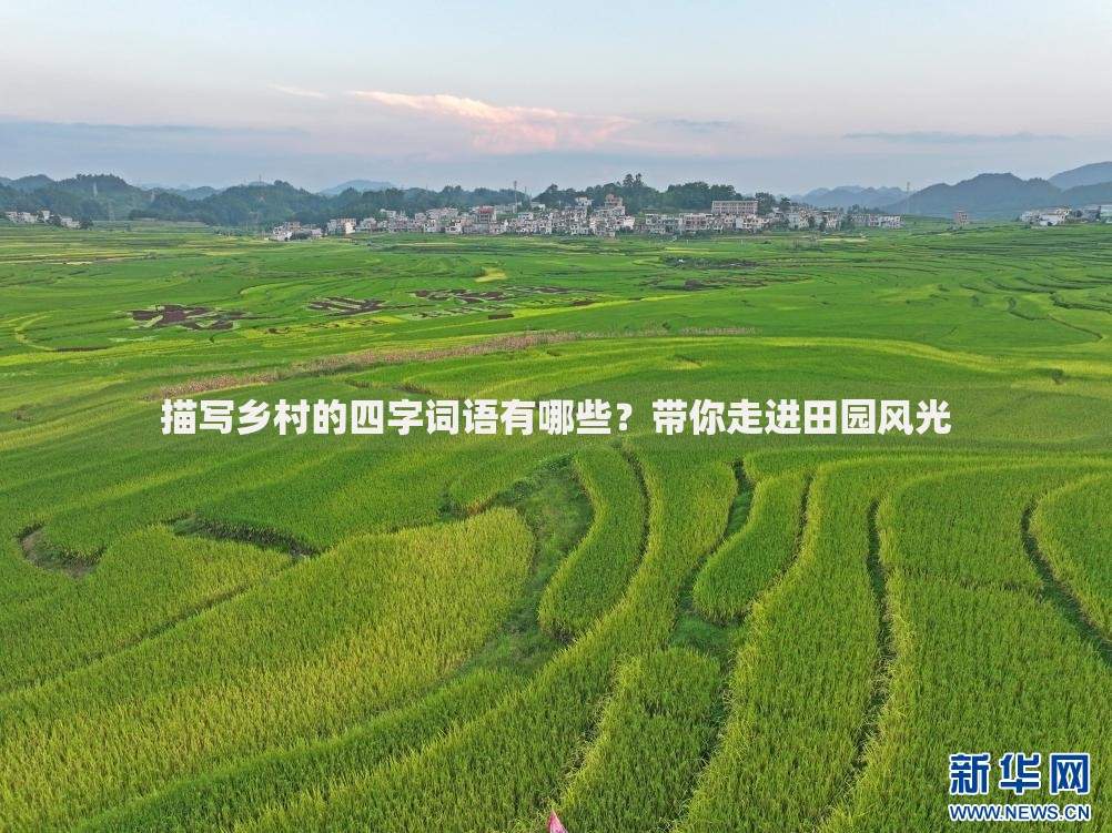 不上征信黑了新口子还能申请吗？深度解析指南