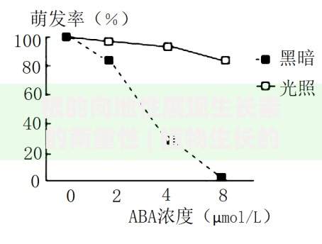 如何查询身份证有没有被网贷？教你5招快速自查方法