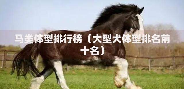 灵活还款的贷款平台推荐：哪种方式更适合你的资金规划？