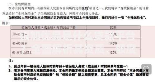 银加优品是什么贷款平台?全面解析其资质、额度及用户评价 银加优品是什么贷款平台?全面解析其资质、额度及用户评价