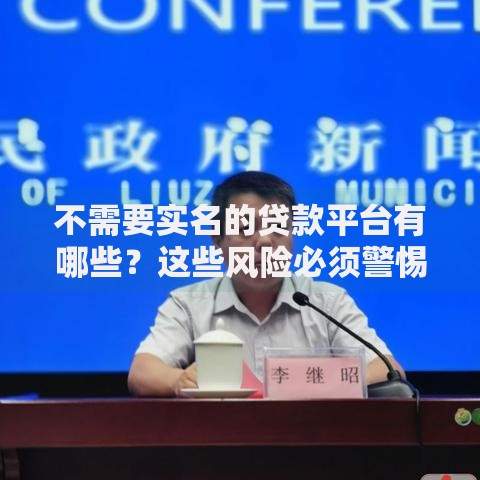 不需要实名的贷款平台有哪些？这些风险必须警惕