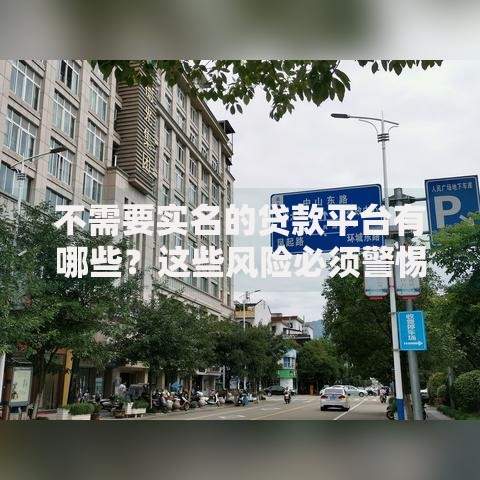 不需要实名的贷款平台有哪些？这些风险必须警惕