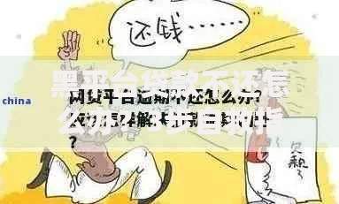 黑平台贷款不还怎么办？3步自救指南