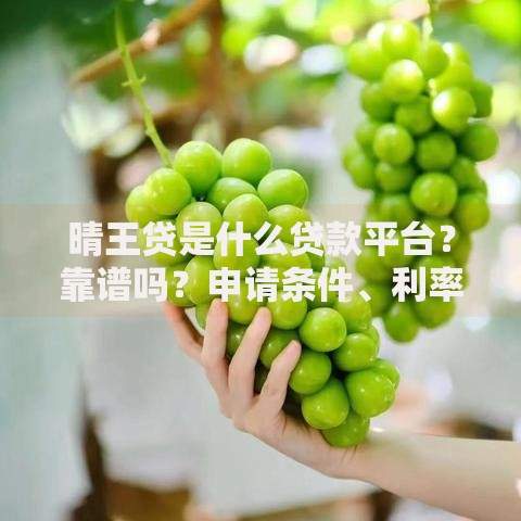 晴王贷是什么贷款平台？靠谱吗？申请条件、利率、优缺点全解析