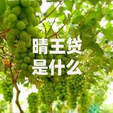 晴王贷是什么贷款平台？靠谱吗？申请条件、利率、优缺点全解析