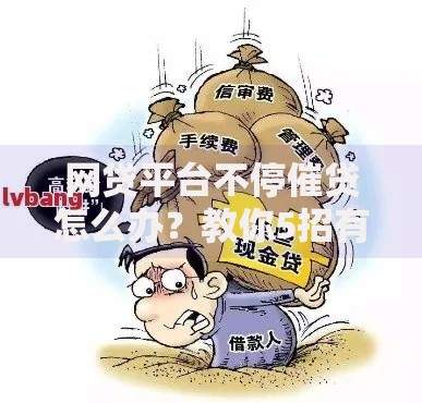 网贷平台不停催贷怎么办？教你5招有效应对方法