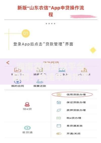 海南农信贷款平台官网:快速申请指南与低息产品解析 海南农信贷款平台官网:快速申请指南与低息产品解析