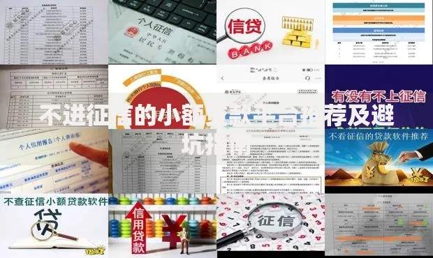 不进征信的小额贷款平台推荐及避坑指南