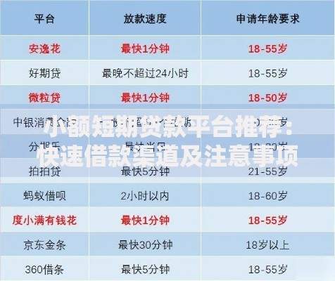 小额短期贷款平台推荐:快速借款渠道及注意事项 小额短期贷款平台推荐:快速借款渠道及注意事项
