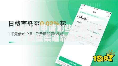 20岁能申请哪些贷款平台？这些渠道靠谱又安全