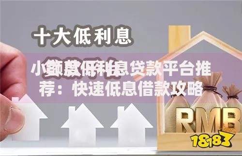 小额度低利息贷款平台推荐：快速低息借款攻略