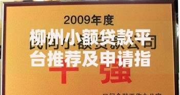 柳州小额贷款平台推荐及申请指南