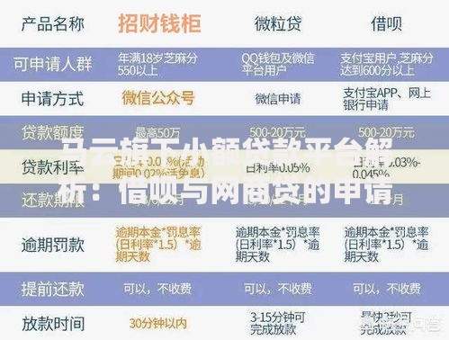 马云旗下小额贷款平台解析：借呗与网商贷的申请攻略