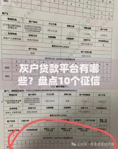 灰户贷款平台有哪些？盘点10个征信差也能下款的口子