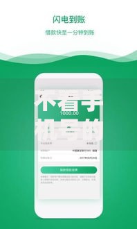 不看手机号的贷款平台推荐：隐私安全与快速借款指南