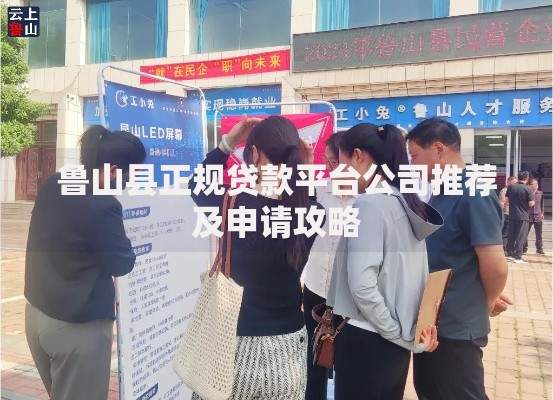 鲁山县正规贷款平台公司推荐及申请攻略 鲁山县正规贷款平台公司推荐及申请攻略