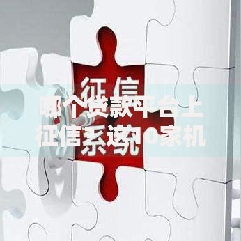 哪个贷款平台上征信？这10家机构必须知道