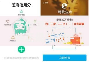 支付宝上有哪些正规贷款平台?安全靠谱吗?一文详解借款流程 支付宝上有哪些正规贷款平台?安全靠谱吗?一文详解借款流程