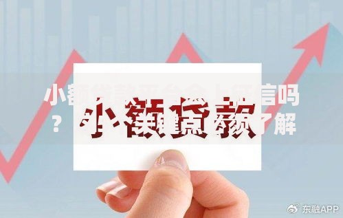 小额贷款平台会上征信吗?这5个关键点必须了解 小额贷款平台会上征信吗?这5个关键点必须了解