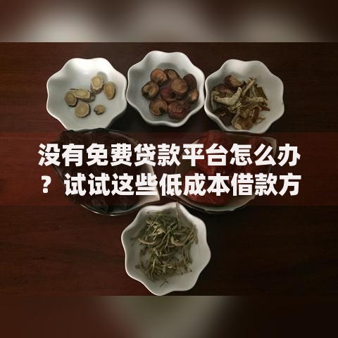 没有免费贷款平台怎么办?试试这些低成本借款方法 没有免费贷款平台怎么办?试试这些低成本借款方法
