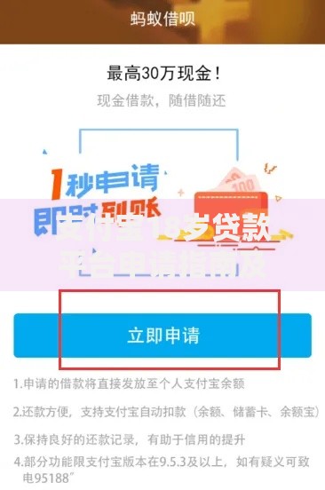 支付宝18岁贷款平台申请指南及注意事项
