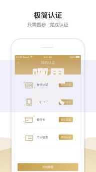 哪里能快速贷到5万?推荐这几个靠谱平台和申请技巧 哪里能快速贷到5万?推荐这几个靠谱平台和申请技巧