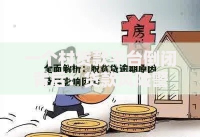 一个村贷款平台倒闭背后：贷款风险警示与农村金融困局