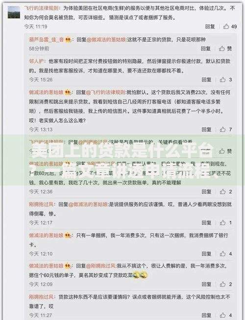 美团上的贷款是什么平台？一篇文章讲透申请流程、利息和安全性