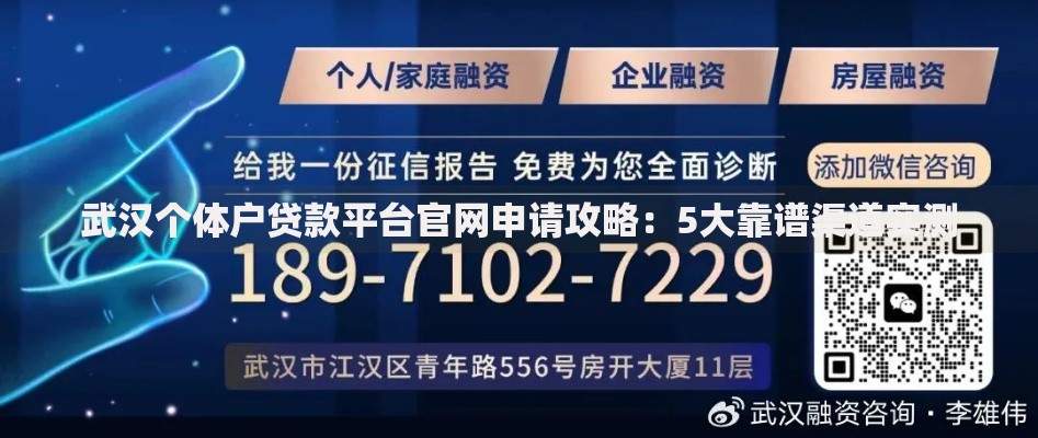 武汉个体户贷款平台官网申请攻略：5大靠谱渠道实测