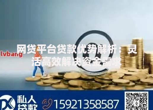 网贷平台贷款优势解析:灵活高效解决资金需求 网贷平台贷款优势解析:灵活高效解决资金需求