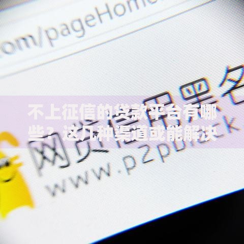 不上征信的贷款平台有哪些？这几种渠道或能解决短期资金需求