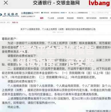 贷款平台申请报告模板指南：范文解析及撰写技巧