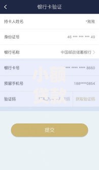 小额贷款平台经营指南：7步打造合规高效的借贷服务