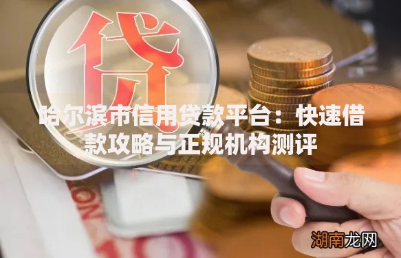 哈尔滨市信用贷款平台：快速借款攻略与正规机构测评