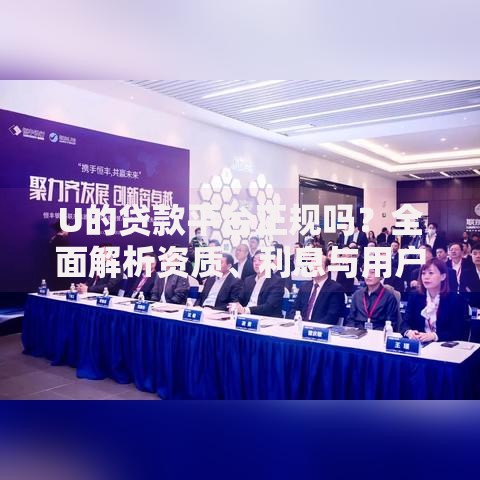 U的贷款平台正规吗？全面解析资质、利息与用户评价