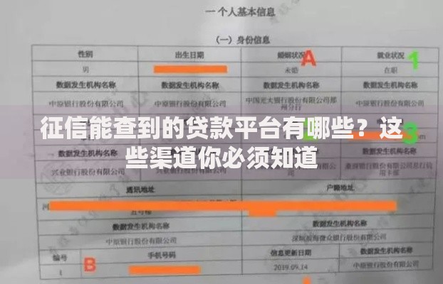 征信能查到的贷款平台有哪些？这些渠道你必须知道