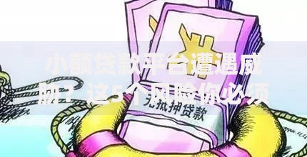 小额贷款平台遭遇威胁？这5个风险你必须知道