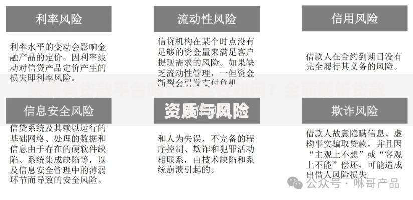 泰康有贷款平台吗？安全性如何？全面解析贷款资质与风险