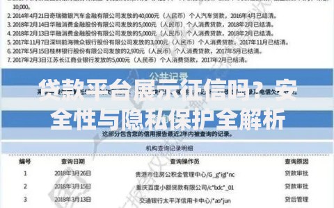 贷款平台展示征信吗？安全性与隐私保护全解析
