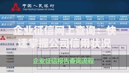 企业征信网上查询：快速掌握公司信用状况的正确姿势