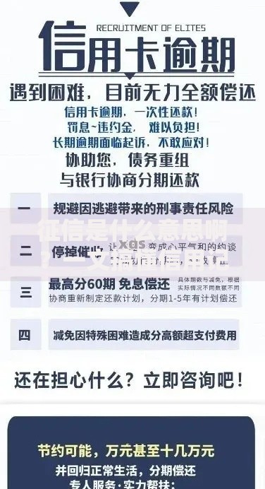 征信是什么意思啊？一文搞懂信用记录的重要性与影响