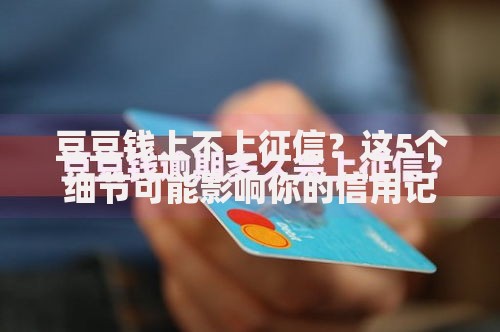 豆豆钱上不上征信？这5个细节可能影响你的信用记录！