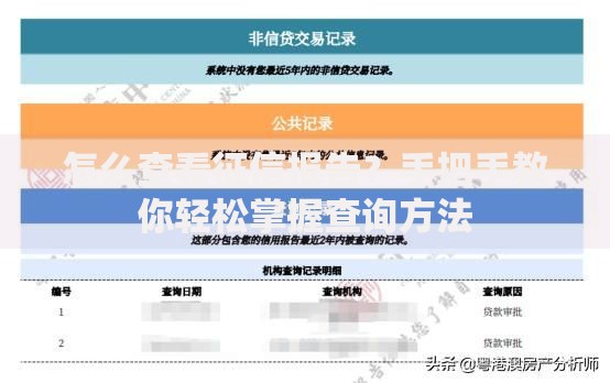 怎么查看征信报告？手把手教你轻松掌握查询方法