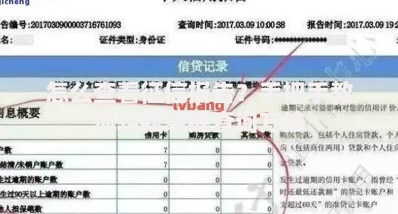 怎么查看征信报告？手把手教你轻松掌握查询方法