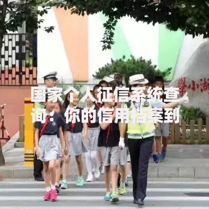 国家个人征信系统查询：你的信用档案到底藏着哪些秘密？