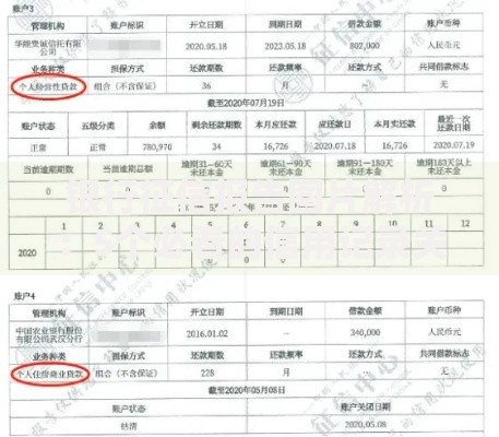 银行征信报告图片解析：5个必看的信用记录关键点