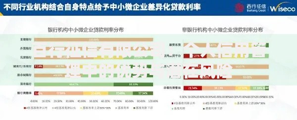 百行征信有限公司:个人信用管理中的优势与潜在风险 百行征信有限公司:个人信用管理中的优势与潜在风险
