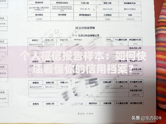 个人征信报告样本:如何快速看懂你的信用档案? 个人征信报告样本:如何快速看懂你的信用档案?
