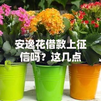 安逸花借款上征信吗？这几点使用前必须了解