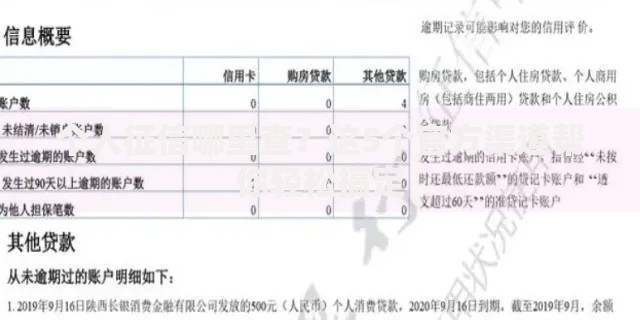 个人征信哪里查？这5个官方渠道帮你轻松搞定